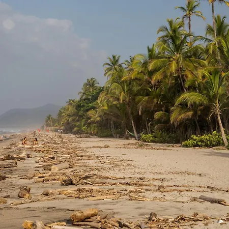 Lote 10 Tayrona Glamping-2